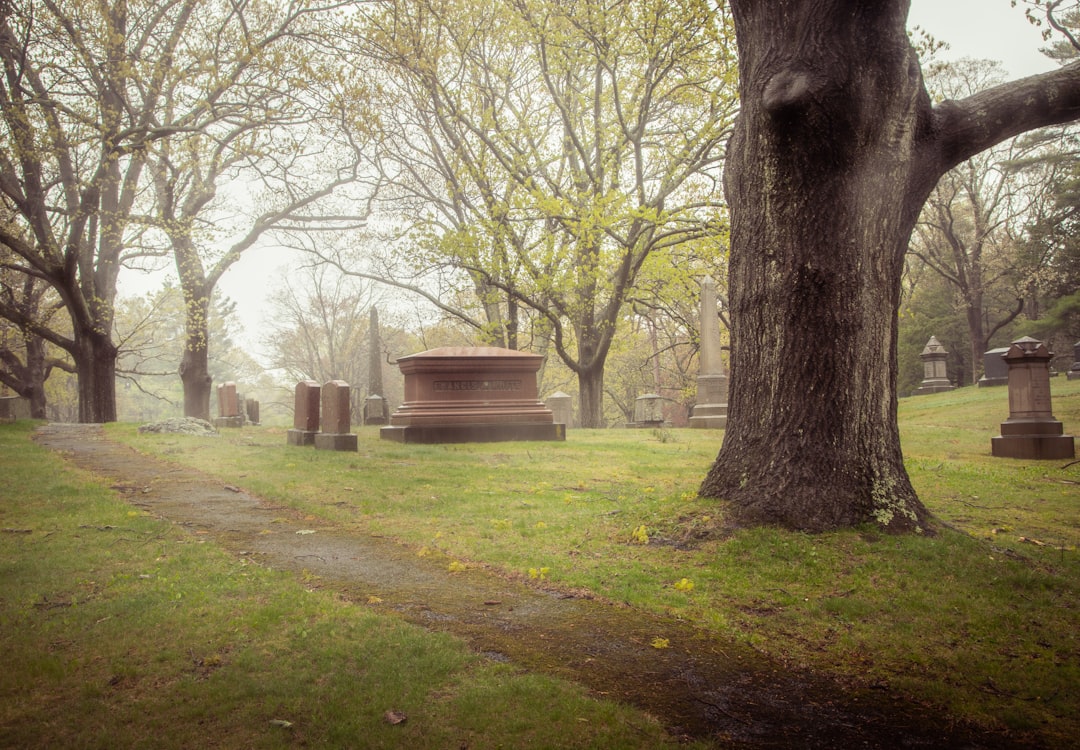 Photo Gravestones, trees