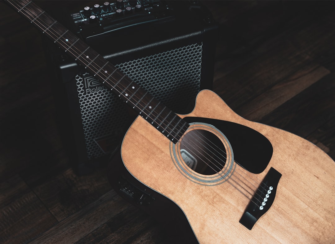 Photo Acoustic guitar